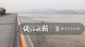 记者爆料钱塘江视频,揭秘事件背后惊人真相  第3张