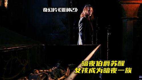 电影暗夜在线观看,网络深处的惊悚悬疑之旅